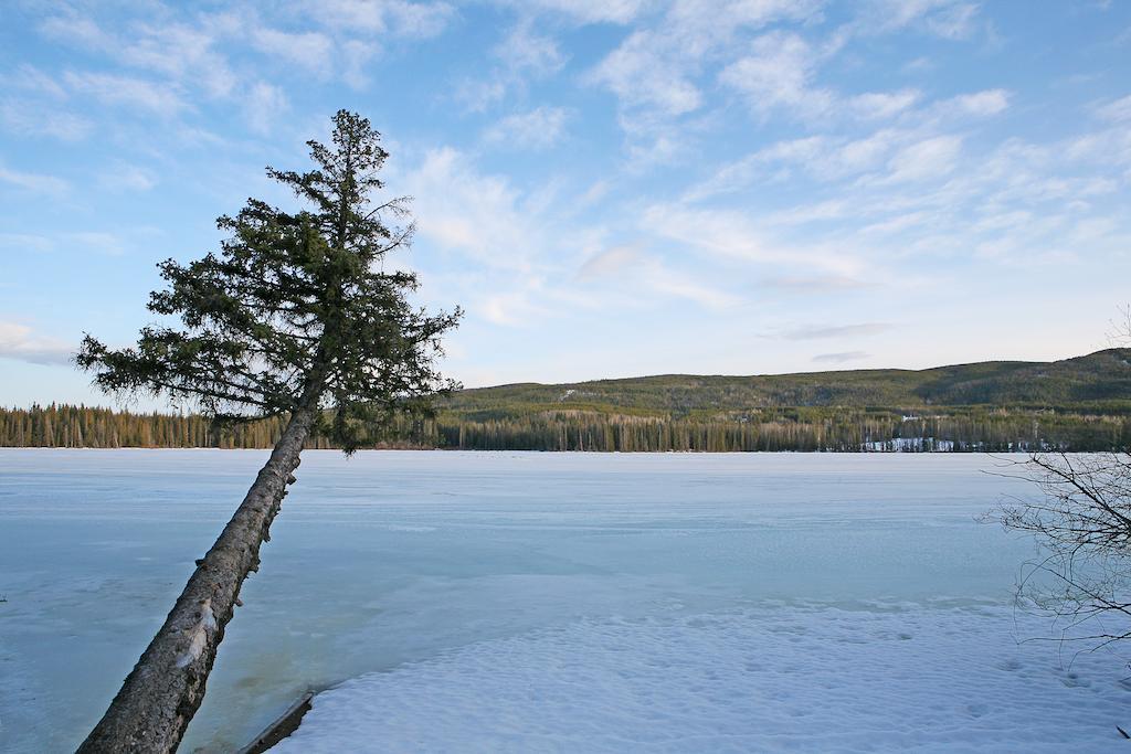 Lac Le Jeune Wilderness Resort Kamloops Zewnętrze zdjęcie